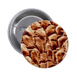Louse - side pins