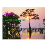 Lousiana/Atchafalaya Basin Postcard