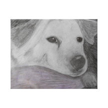 Lovable cute pet  "TOBY" Gallery Wrap Canvas