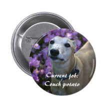 Lovable Greyhound Pinback Button