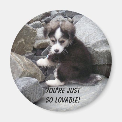 Lovable Magnet