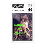 Love-a-Bull Postage Stamp