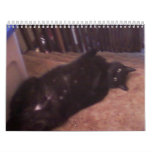 LOVE and FRIENDSHIP Calendars