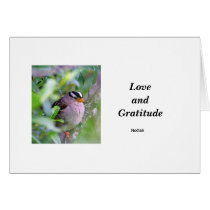 Love and Gratitude cards by pjfrank55 Love and Gratitude cards