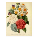 Love and Romance, Vintage Save the Date! Postcard