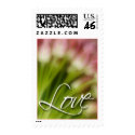 Love And Tulip Event And Wedding Postage stamp