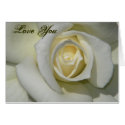 Love/Any Occasions_Card by zazzlegirboy09 Love/Any Occasions_Card