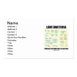 Love Bacteria Prolific Distributors Of Culture Business Card