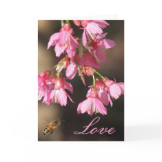 Love Bee Cherry Blossoms Card card