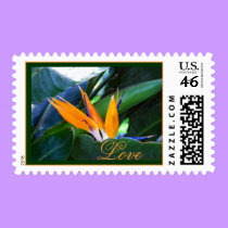 Love - bird-of-paradise - postage stamps stamps