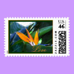 Love - bird-of-paradise - postage stamps