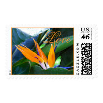 Love - bird+of+paradise - postage stamps