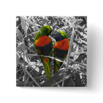 Love Birds buttons