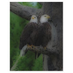 'Love Birds' Flyer Design