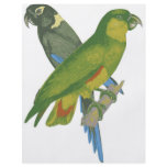 Love birds. flyer design