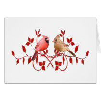 Love Birds cards