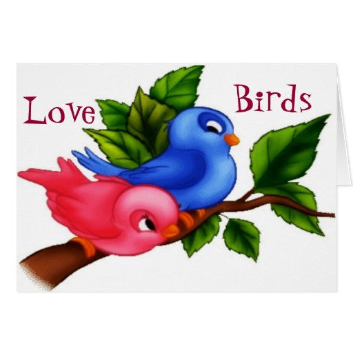 valentines day love birds quotes