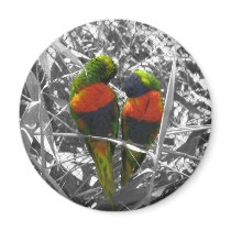 Love Birds magnets