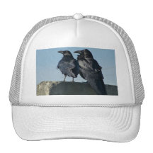 Love Birds Mesh Hats