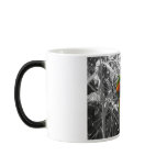 Love Birds mugs