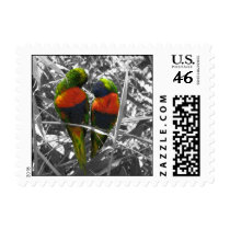 Love Birds postage