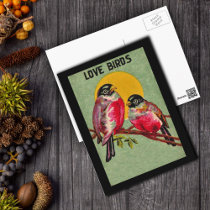 Love Birds Postcard postcards