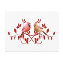 Love Birds postcards