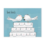 Love Birds Post Card