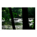 Love BIrds posters by lioneyes Love BIrds posters