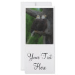 'Love Birds' rack cards