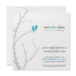 Love Birds Save the Date Announcement (aqua)