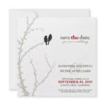 Love Birds Save the Date Announcement (black)