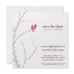 Love Birds Save the Date Announcement (fuchsia)