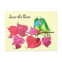 Love Birds, Save the Date postcard