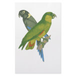 Love birds. customized stationery