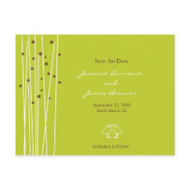 Love Birds with Lines & Dots Green postcards by NiceStuff Love Birds with Lines & Dots Green postcards
