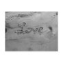 Love Black & White Postcard Love Black & White Postcard