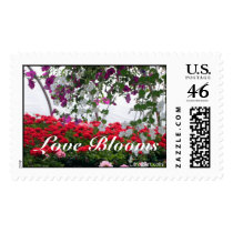 Love Blooms stamp