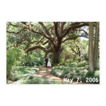 Love born under the spreading oak posters by jrbpub Love born under the spreading oak posters