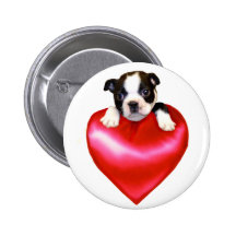 Love Boston Terrier button