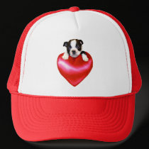Love Boston Terrier hat