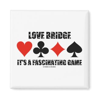 Love Bridge It's A Fascinating Game magnet