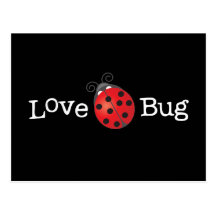 Love Bug - Ladybug Postcard