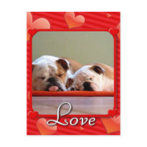 Love Bulldogs postcard