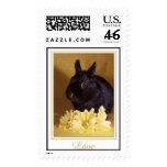 Love - Bunny and Daisies Postage Stamp