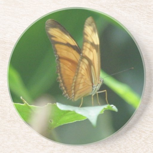 Love Butterflies Coaster