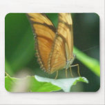 Love Butterflies Mouse Pad