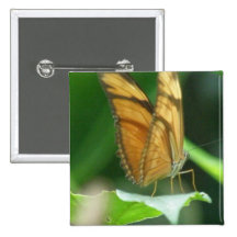 Love Butterflies Square Pin