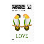 Love Caique Parrots Postage postage