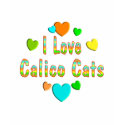 Love Calico Cats t-shirts by MyFavoriteCat Love Calico Cats t-shirts